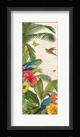 Parrot Paradise VI Framed Print