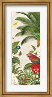 Parrot Paradise VII Fine Art Print