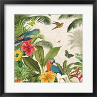 Parrot Paradise II Framed Print