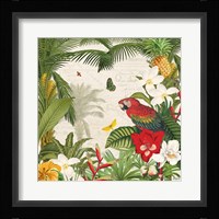 Parrot Paradise III Framed Print