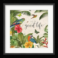 Parrot Paradise IV Framed Print