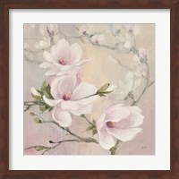 Blushing Magnolias Fine Art Print