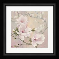 Blushing Magnolias Fine Art Print