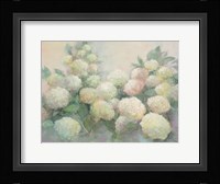 Annabelle Hydrangeas Fine Art Print