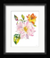 Dahlia Delight of the Day II Fine Art Print