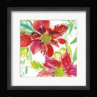 Poinsettia Pretty I Framed Print