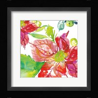 Poinsettia Pretty III Framed Print
