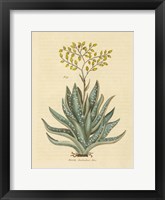 Herbal Botanical XXXI Fine Art Print
