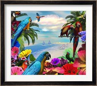 Macaw Island Fine Art Print