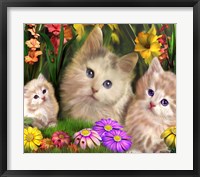 There's Nothing Like Family Fine Art Print