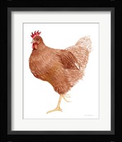 Life on the Farm Chicken Element IV Framed Print
