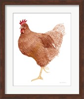 Life on the Farm Chicken Element IV Fine Art Print