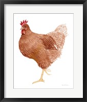 Life on the Farm Chicken Element IV Framed Print