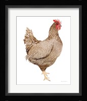 Life on the Farm Chicken Element III Framed Print