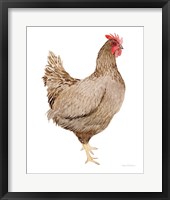 Life on the Farm Chicken Element III Framed Print