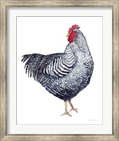 Life on the Farm Chicken Element I Fine Art Print