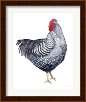 Life on the Farm Chicken Element I Fine Art Print