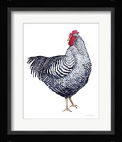 Life on the Farm Chicken Element I Framed Print