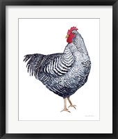 Life on the Farm Chicken Element I Framed Print