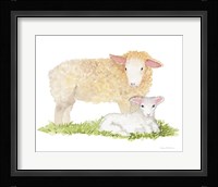 Life on the Farm Animal Element III Framed Print