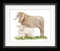 Life on the Farm Animal Element II Framed Print