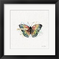 Thoughtful Butterflies I Framed Print