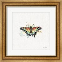 Thoughtful Butterflies IV Fine Art Print
