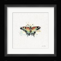 Thoughtful Butterflies IV Framed Print