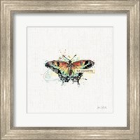 Thoughtful Butterflies IV Fine Art Print