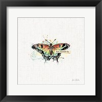 Thoughtful Butterflies IV Framed Print