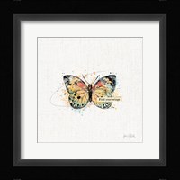 Thoughtful Butterflies II Framed Print