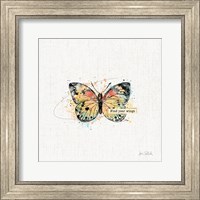 Thoughtful Butterflies II Fine Art Print