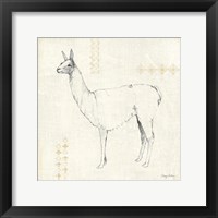 Llama Land VIII Framed Print