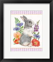 Sunny Bunny IV Checker Border Framed Print