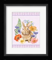 Sunny Bunny II Checker Border Purple Framed Print