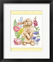 Sunny Bunny III Checker Border Fine Art Print