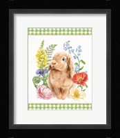 Sunny Bunny I Checker Border Framed Print
