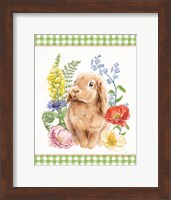 Sunny Bunny I Checker Border Fine Art Print