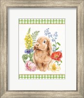 Sunny Bunny I Checker Border Fine Art Print
