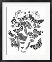 Butterfly Bouquet IV Linen BW IV Fine Art Print