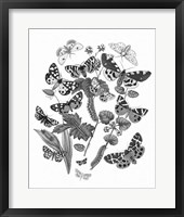 Butterfly Bouquet IV Linen BW IV Fine Art Print