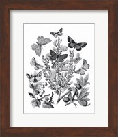Butterfly Bouquet II Linen BW II Fine Art Print