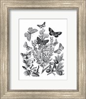 Butterfly Bouquet II Linen BW II Fine Art Print