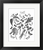 Butterfly Bouquet III Linen BW III Fine Art Print