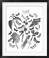 Butterfly Bouquet III Linen BW III Fine Art Print