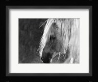 The Ghost Fine Art Print