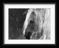 The Ghost Fine Art Print