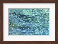 Water Series #5 Fine Art Print