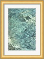 Water Series #8 Fine Art Print