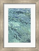 Water Series #10 Fine Art Print